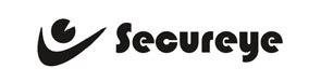 secureye cctv service in chennai